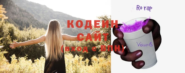 дживик Белокуриха