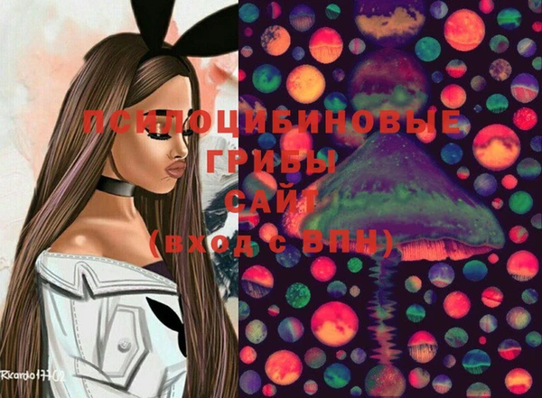 хмурый Белоозёрский