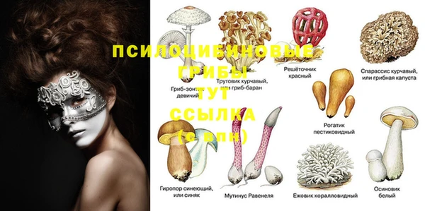 дживик Белокуриха