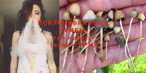 дживик Белокуриха