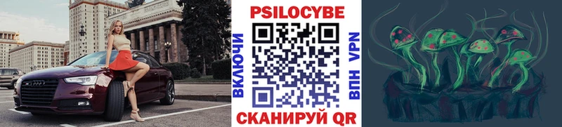 Псилоцибиновые грибы мицелий  Купить закладки  Сковородино 