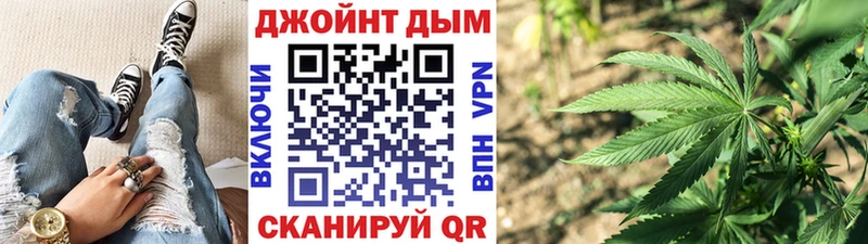 Купить Сковородино Конопля гибрид